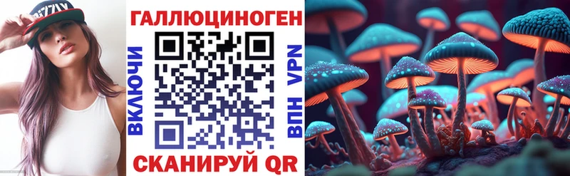 что такое   Собинка  Псилоцибиновые грибы MAGIC MUSHROOMS 