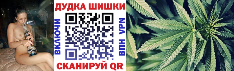 Бошки Шишки планчик  Собинка 